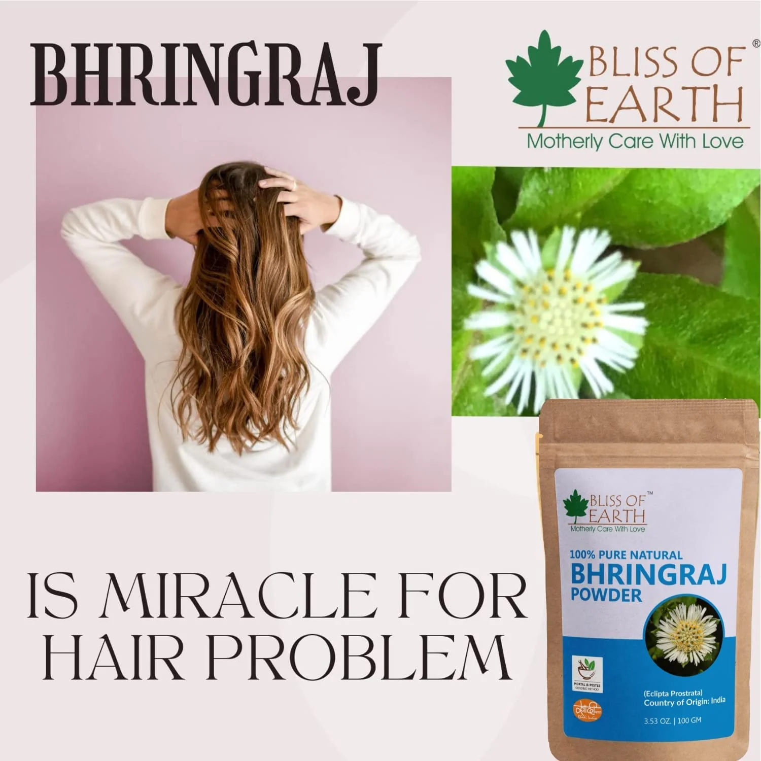 Bhringraj Powder + Reetha (Aritha) Powder (Pack of 2x100gm) - Image 6