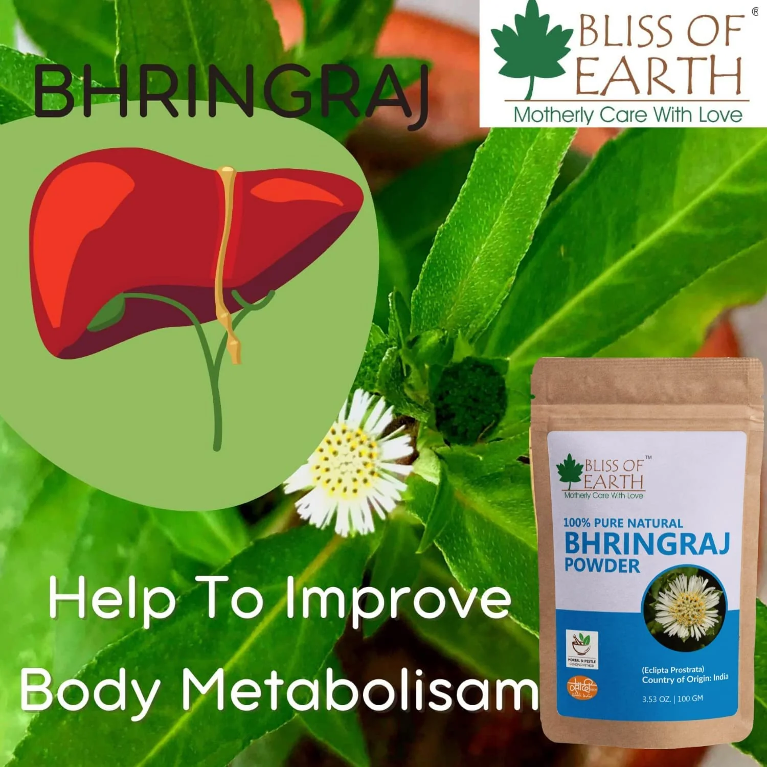 Bhringraj Powder + Reetha (Aritha) Powder (Pack of 2x100gm) - Image 8