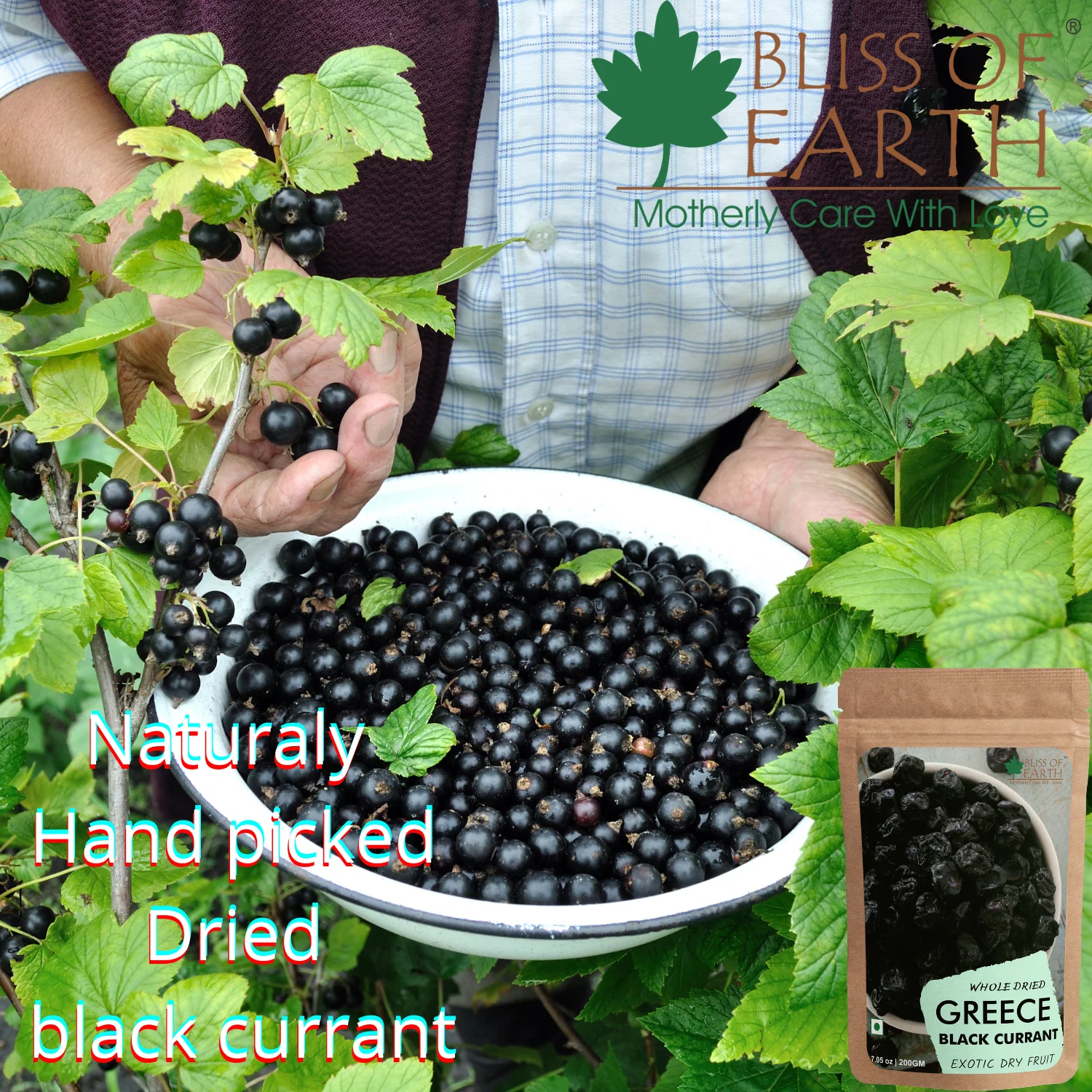 Whole Dried Greece Black Currant Exotic Dry Fruit 200gm - Image 2