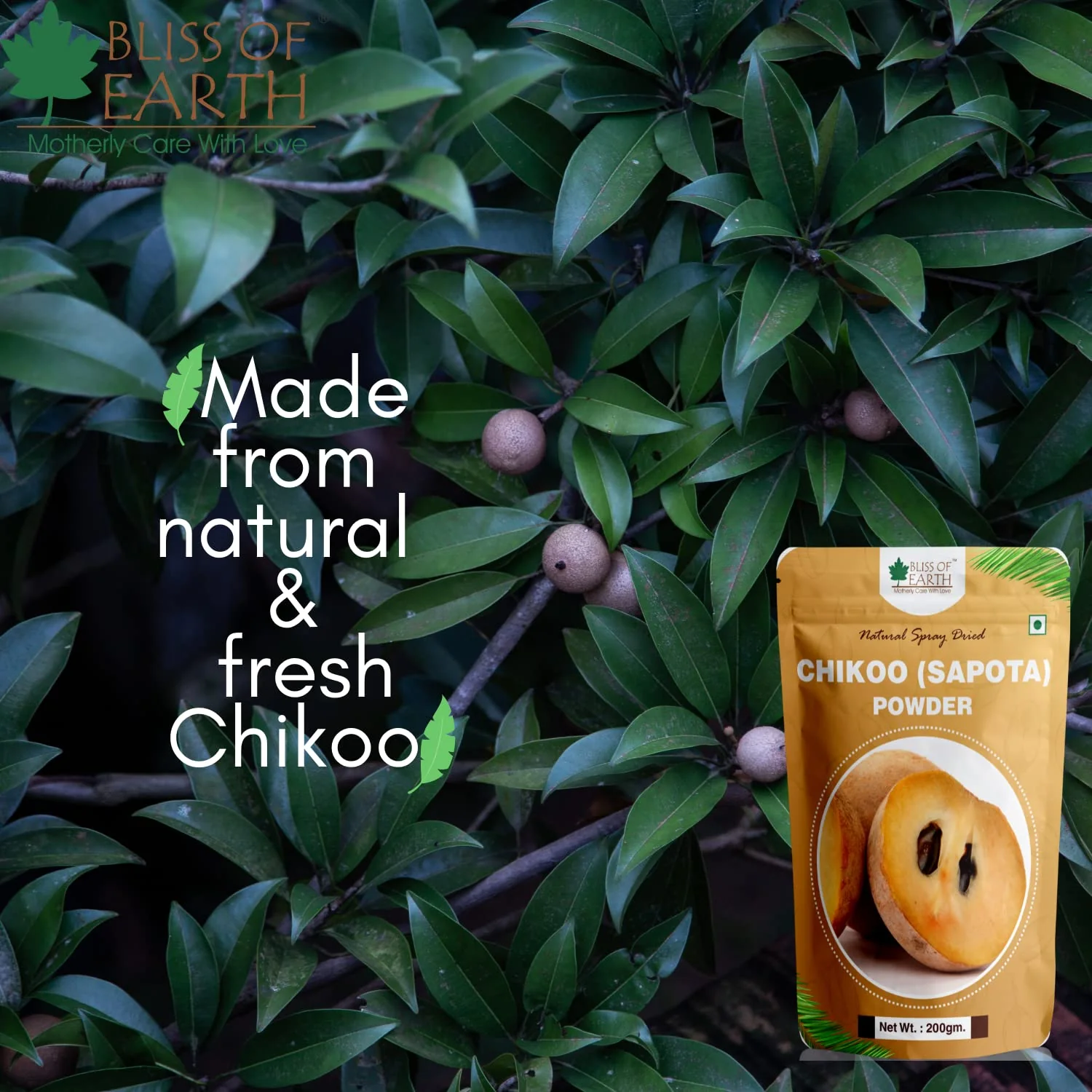 Chikoo (Sapota) Powder Natural Spray Dried 1kg - Image 2