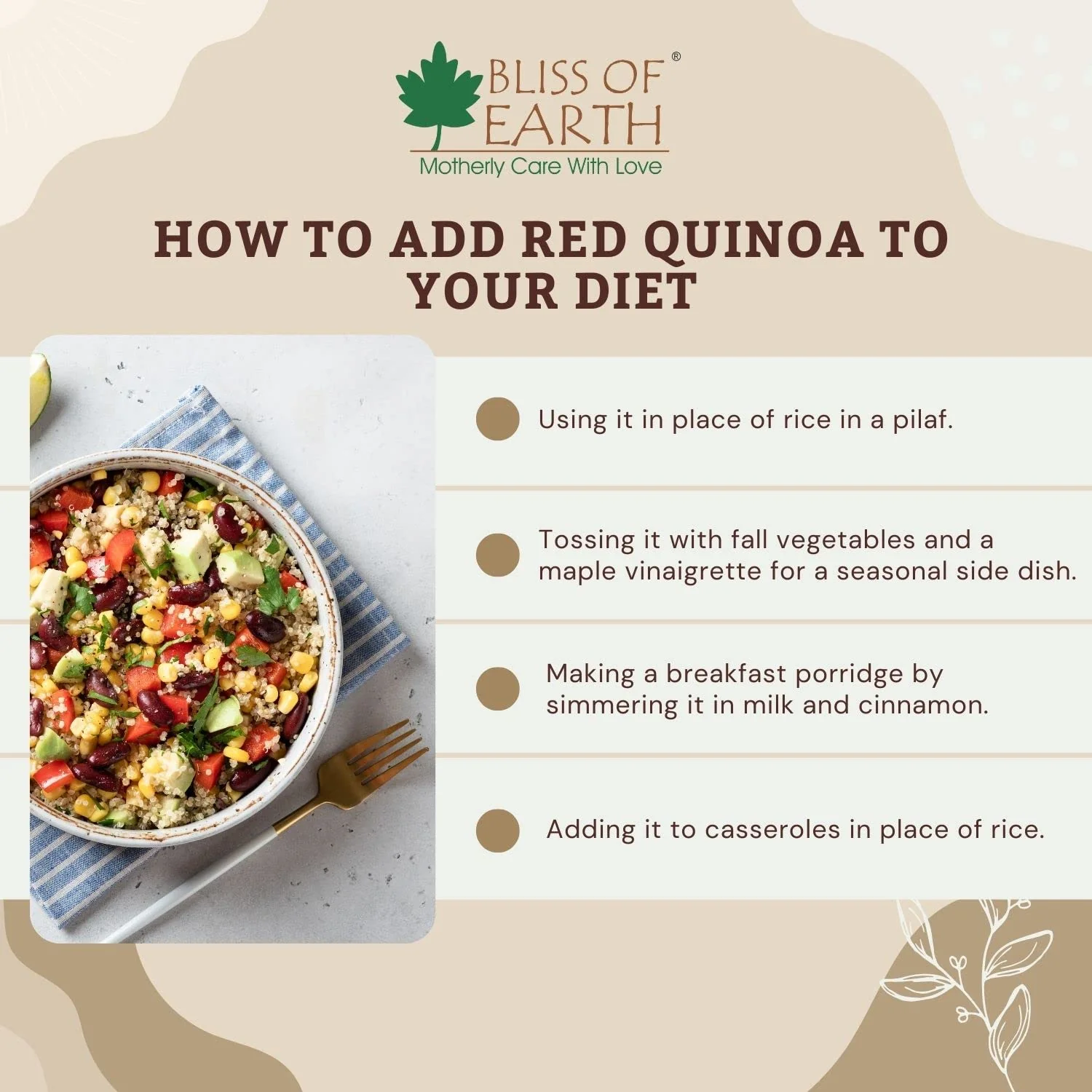 Bliss of Earth 500gm Organic White Quinoa For Weight Loss, Raw Super food For whole family healthy meal - Image 3