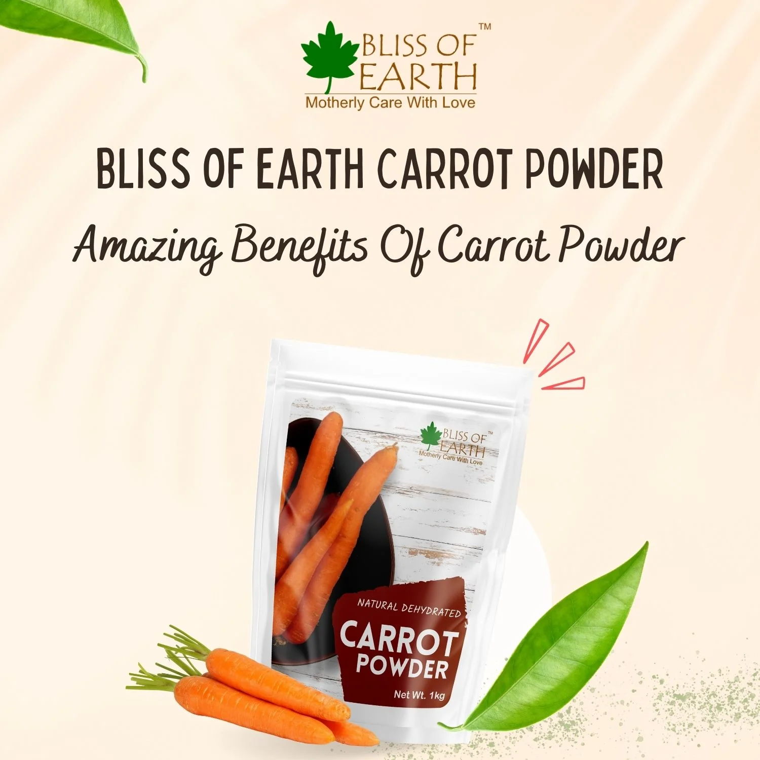 Carrot Powder 100gm - Image 2