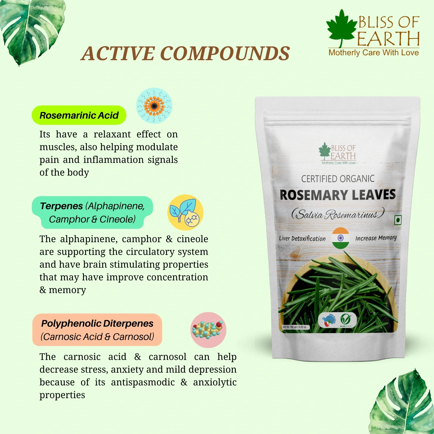 Dried Rosemary Leaves - Image 4