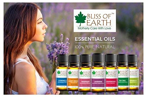 Eucalyptus & Lavender Essential Oils Combo (10ml) & Bug Repelling (Pack of 2) - Image 5