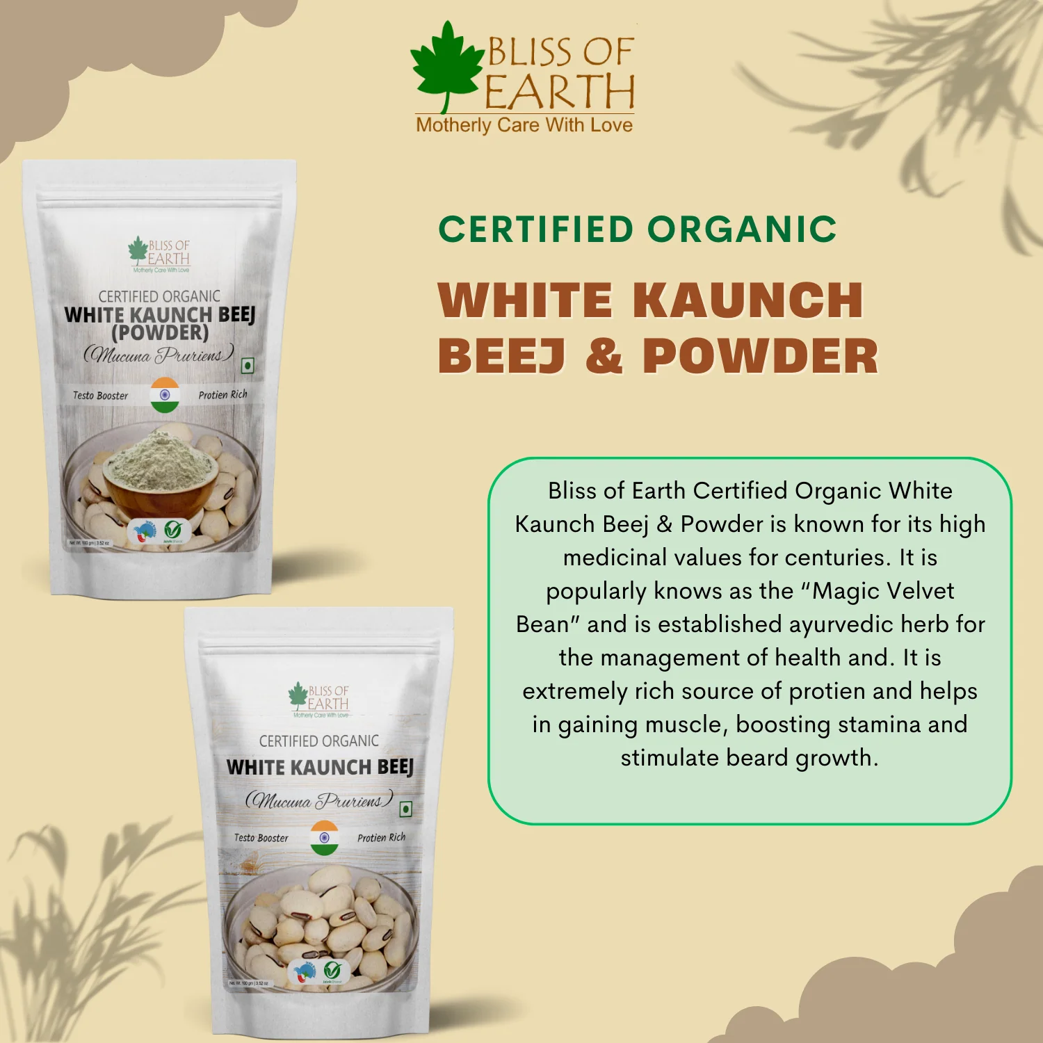 Kaunch Beej Organic, Mucuna Pruriens, Cowhage, Velvet Bean Great for Male Infertility, Testosterone Booster & Muscle Gaining 200gm - Image 5