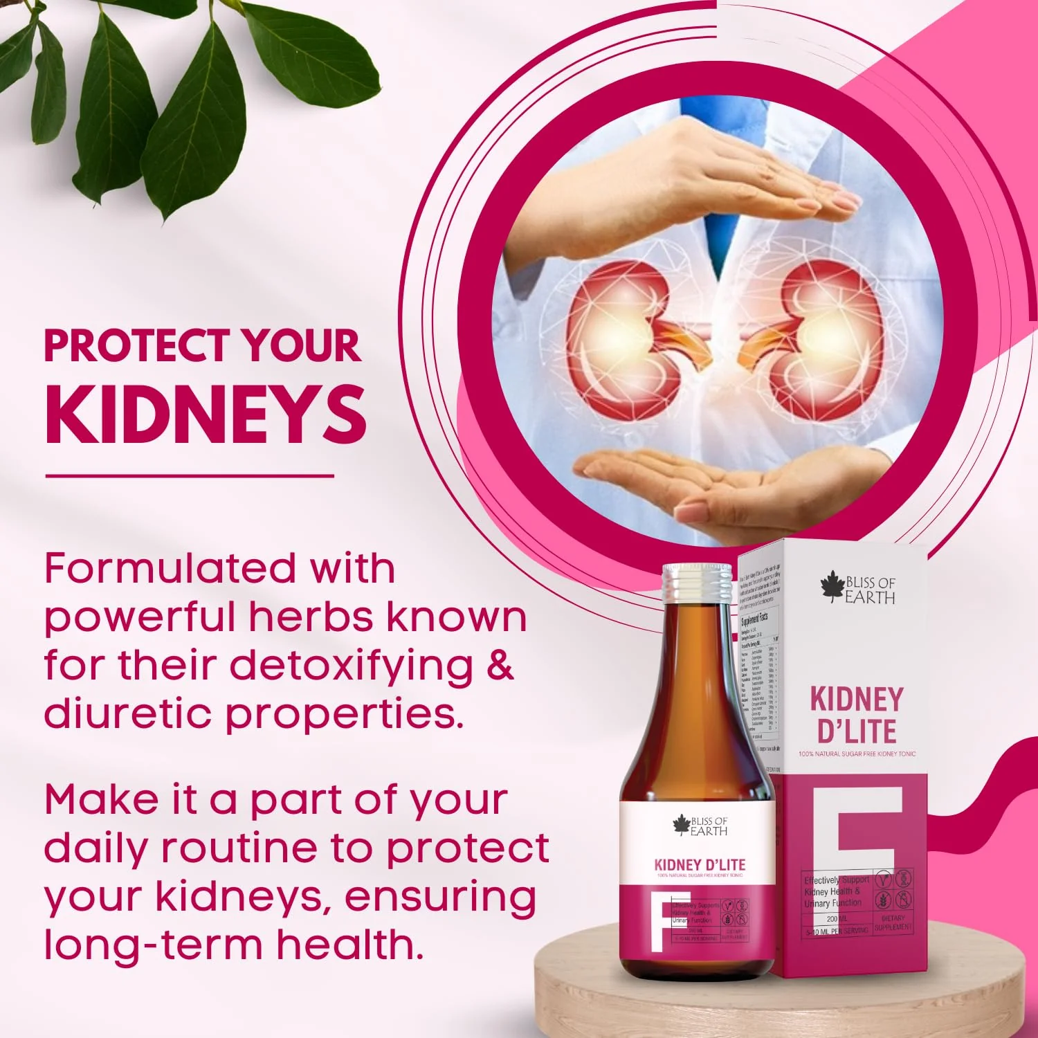 Kidney Detox & Cleanse Supplement (200ml) - Image 2