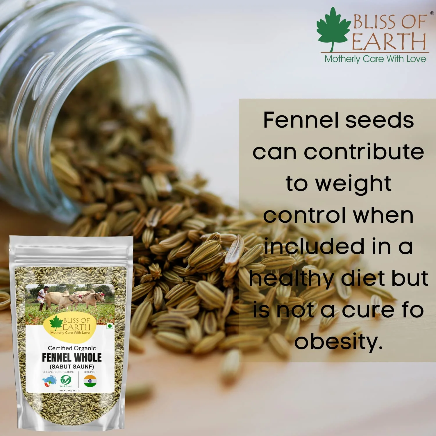 Organic Fennel Seed (Saunf) 500gm - Image 3
