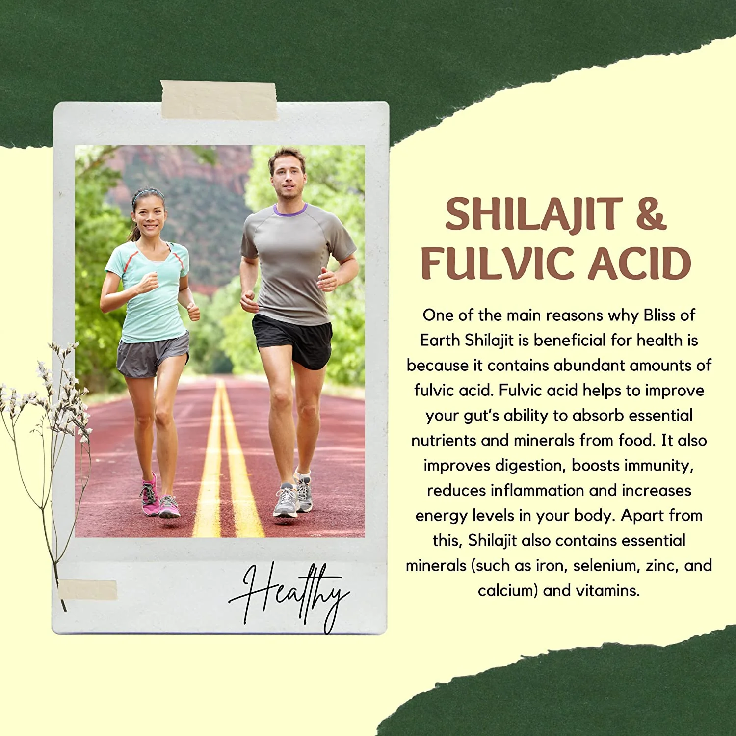 Surya Tapi Himalayan Shilajit 20GM - Image 4