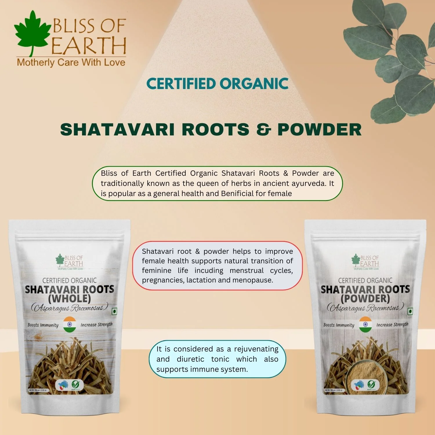 Shatavari Root Powder Organic Asparagus Racemosus Natural & Non-GMO Good for Immunity & Digestion 200gm - Image 5