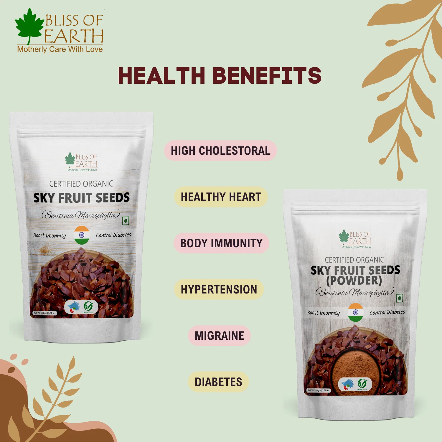 Bliss of Earth Sky Fruit Seeds Powder, Swietenia Macrophylla, Mahogany Seeds, Kadwa Badam for Diabetes and Immunity (200GM) - Image 3