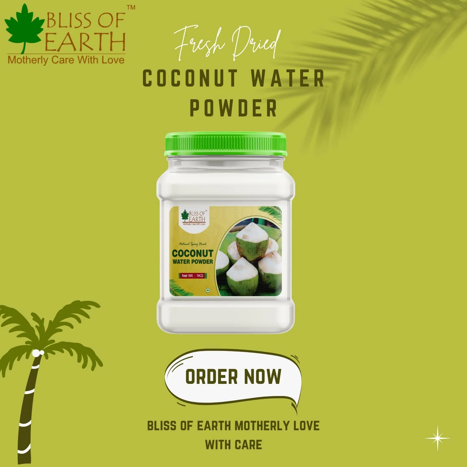 Coconut Water Powder 500gm - Image 2