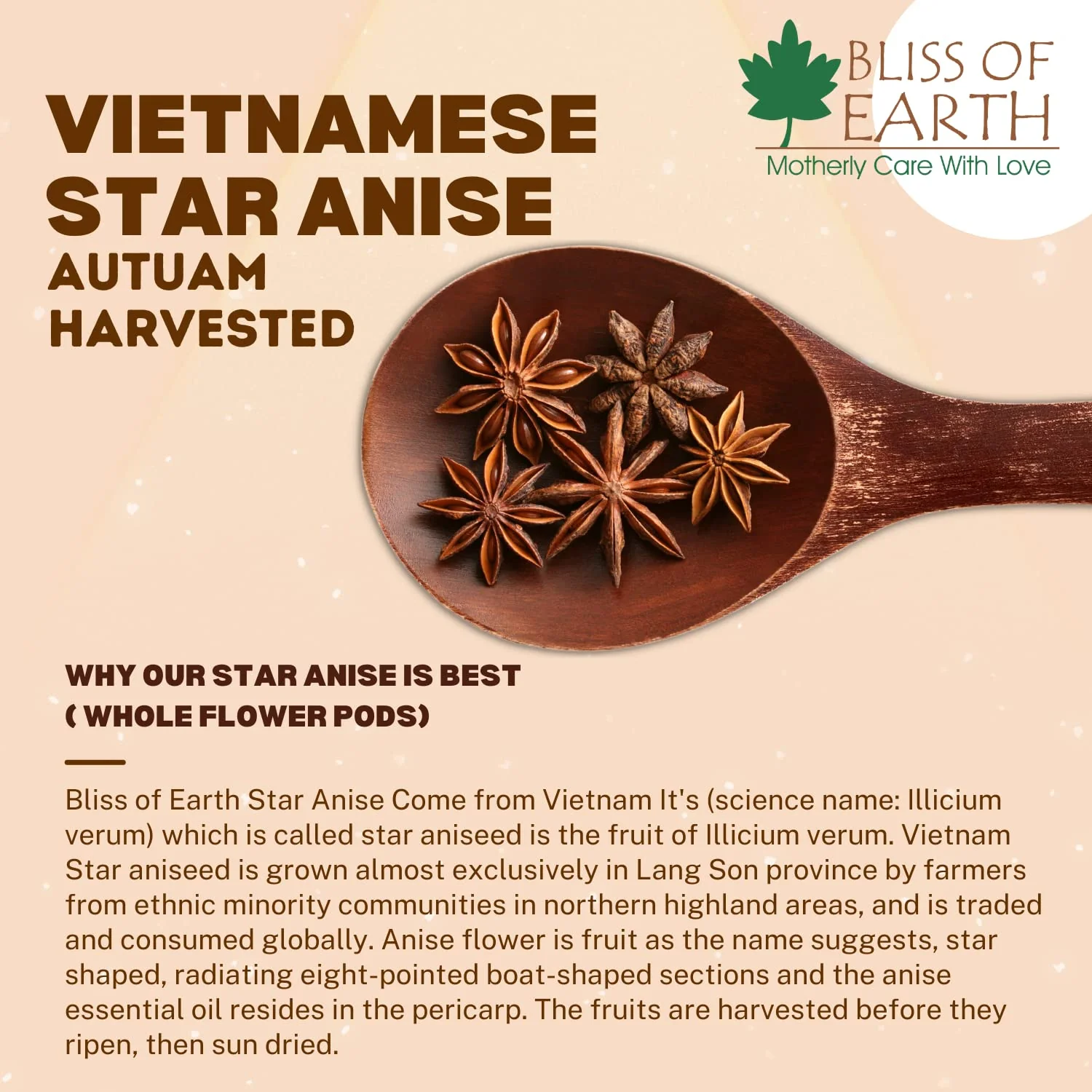 Star Anise Whole spices, Chakra Phool, Vietnamese badiyan 1kg - Image 6