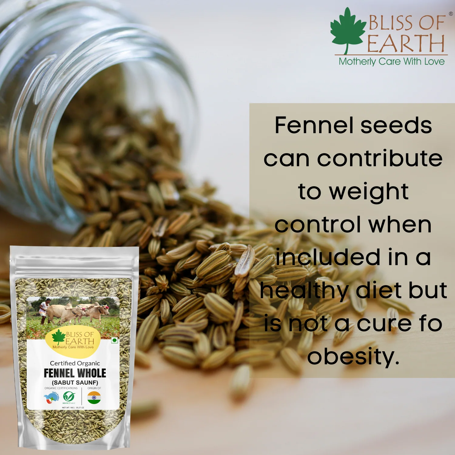 Organic Fennel Seed (Saunf) 200gm - Image 6