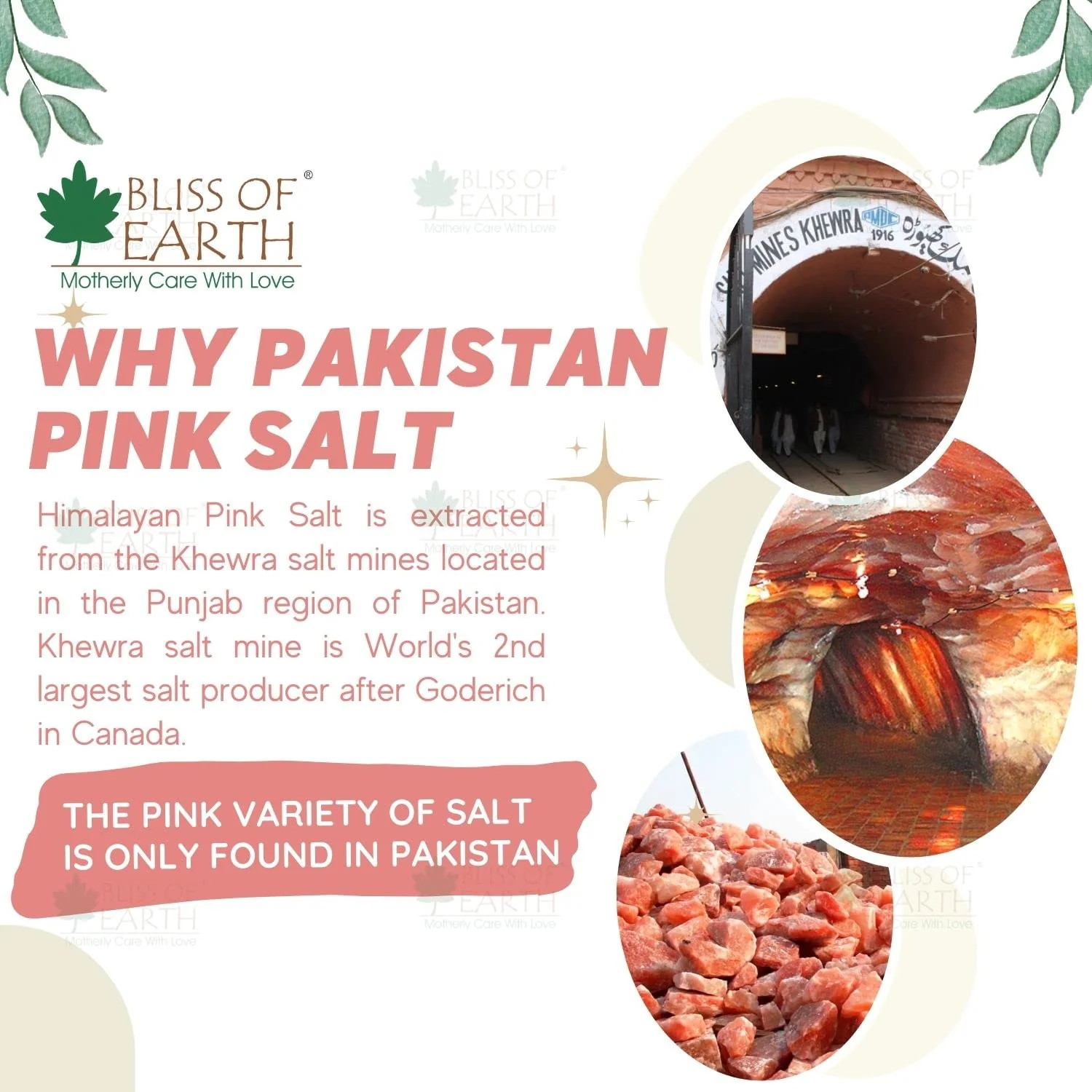 Himalayan Pink Powder Salt 1Kg - Image 4
