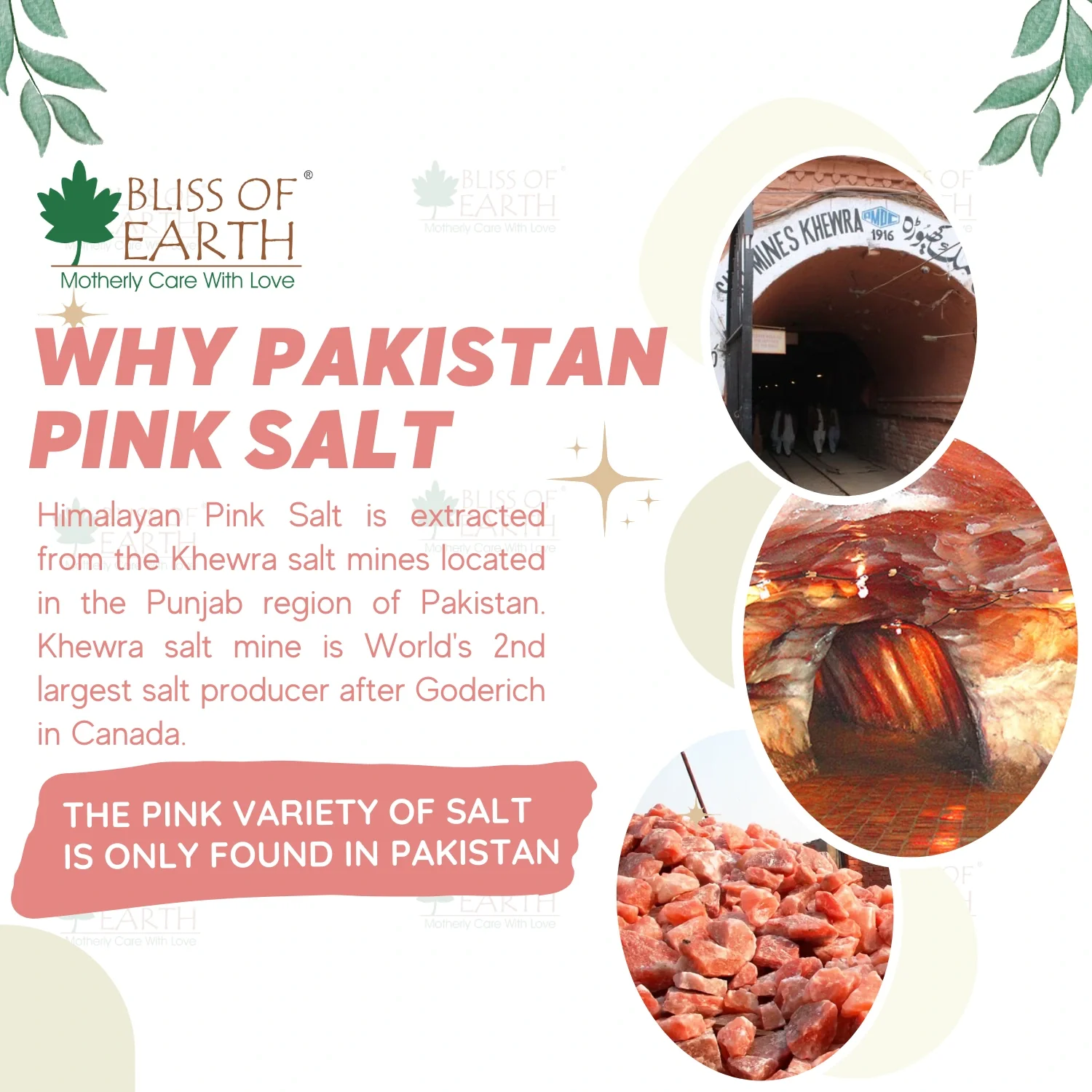 Himalayan Pink Salt (Powder) - Image 5