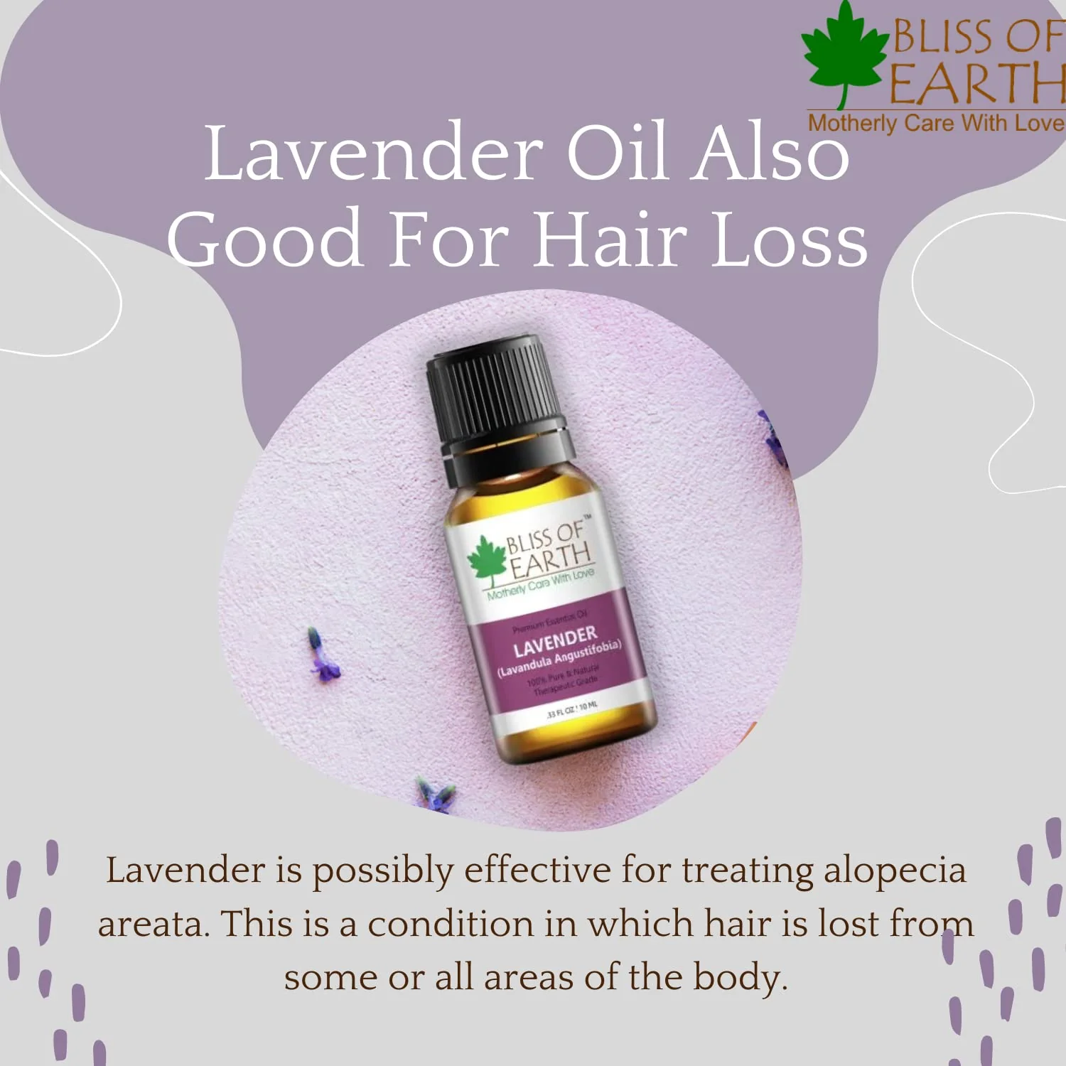 Lavender Essential Oil - Image 5