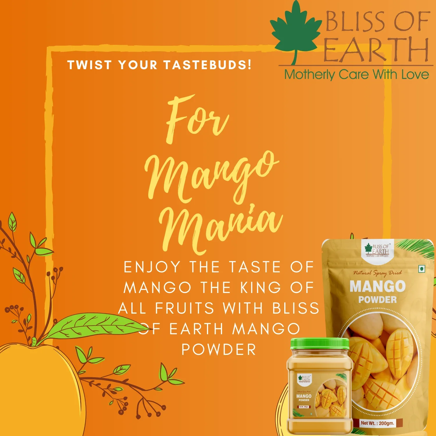 Mango Powder Natural Spray Dried - Image 3