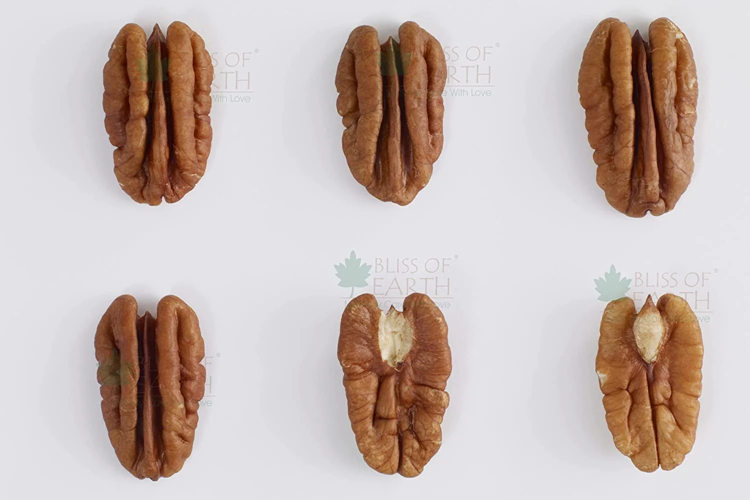 Mexican Pecan Nut 1KG - Image 4