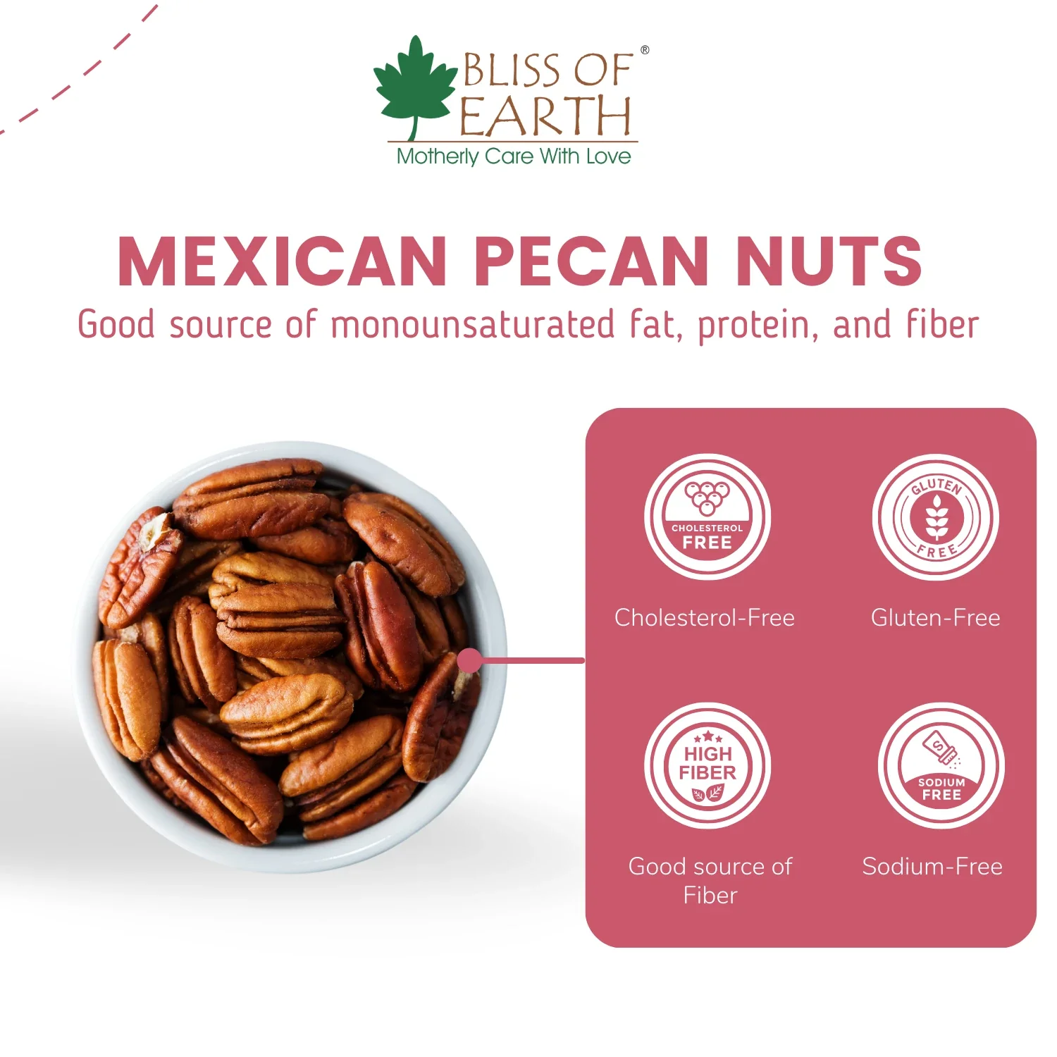 Mexican Pecan Nut - Image 3