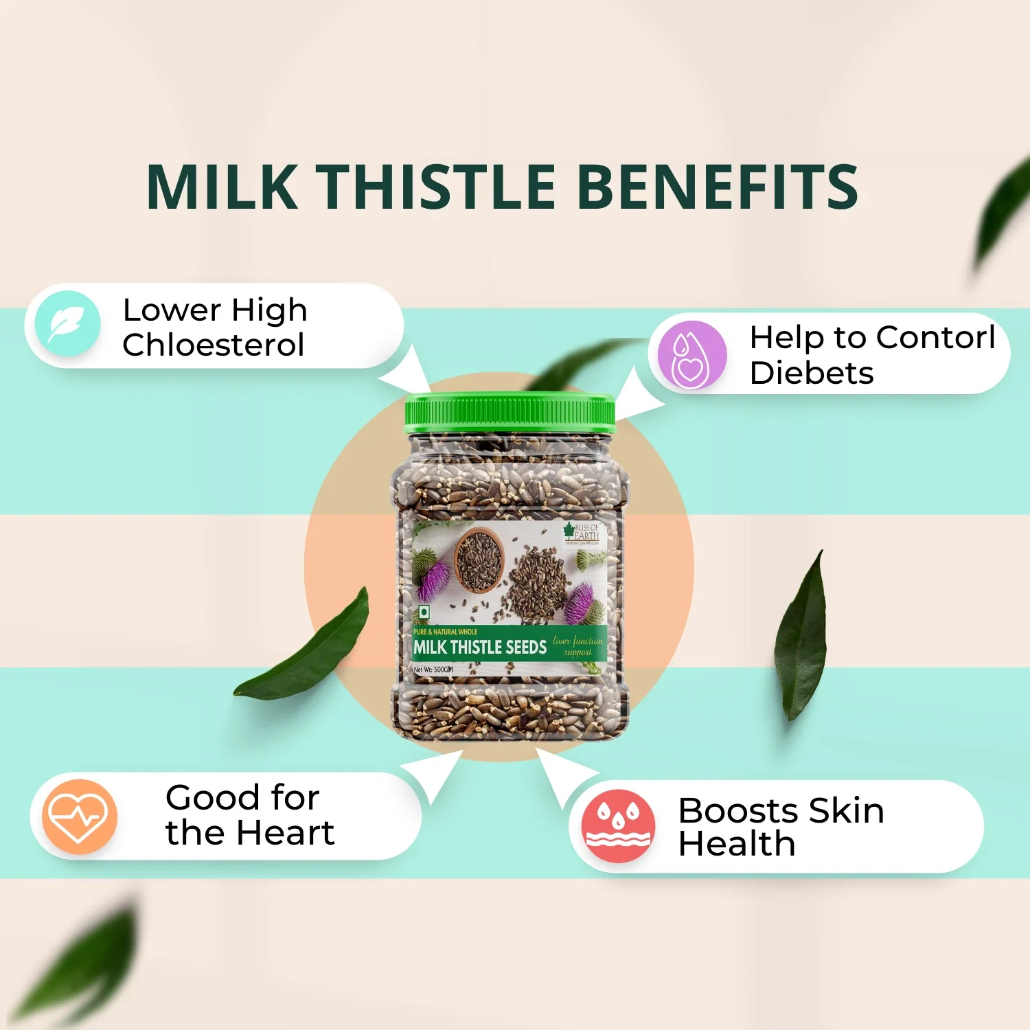 Milk Thistle Seeds Organic Super Food - Image 3