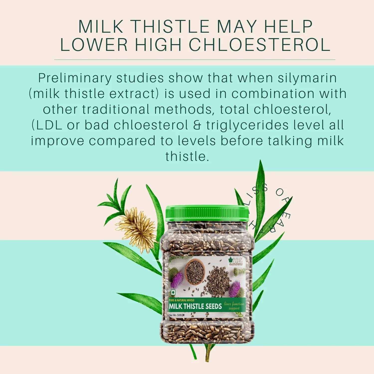 Milk Thistle Seeds Organic Super Food - Image 4