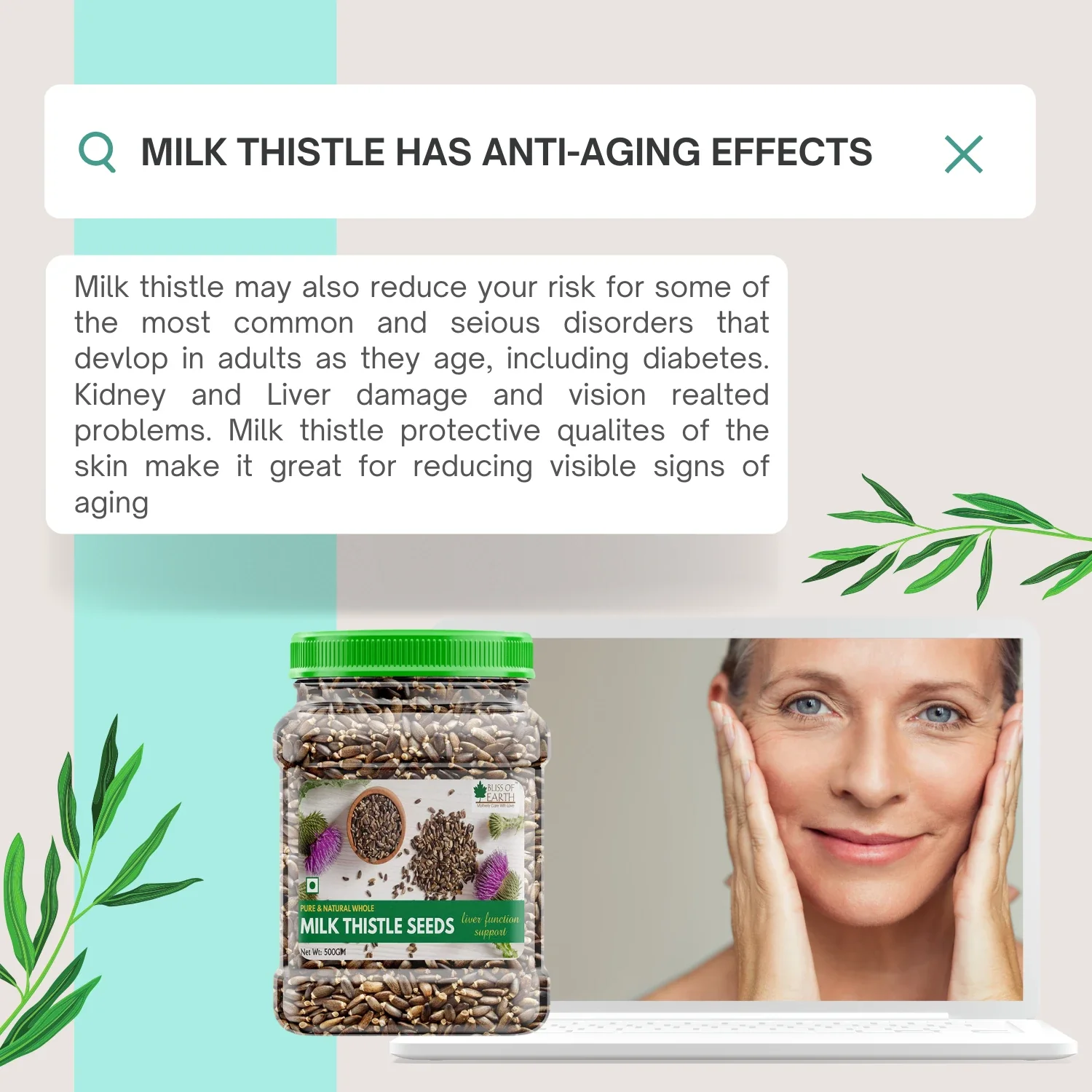 Milk Thistle Seeds Organic Super Food - Image 5