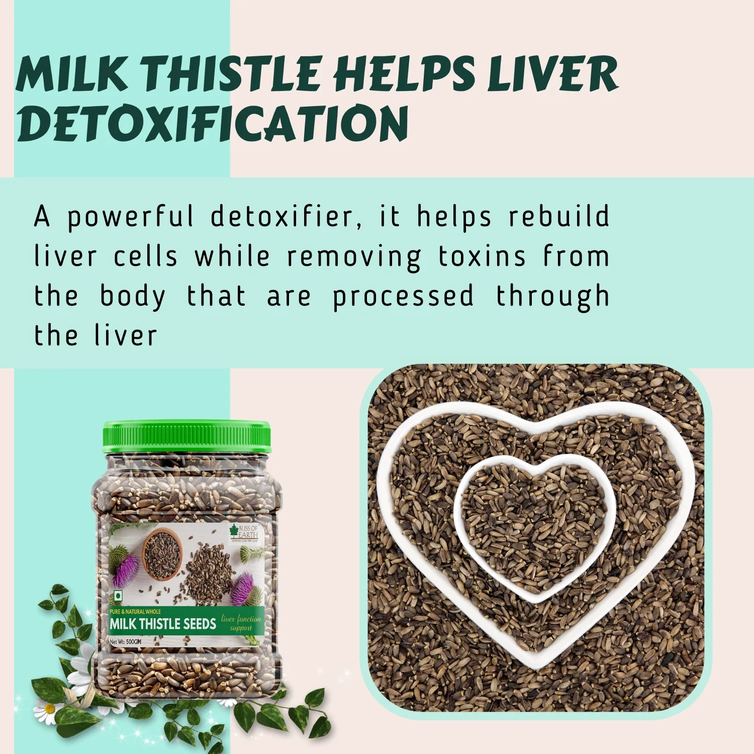 Milk Thistle Seeds Organic Super Food - Image 6