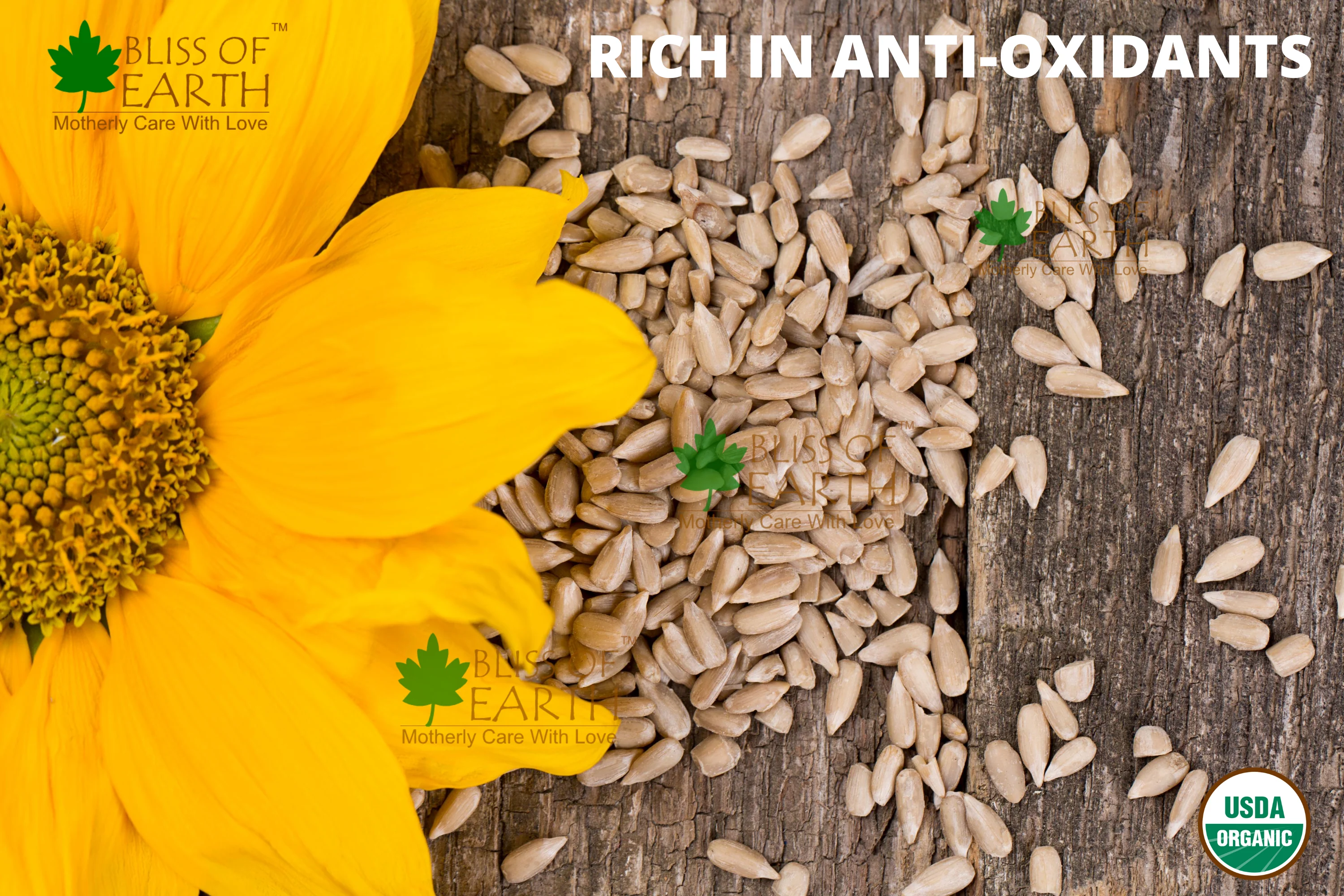 Natural Raw Sunflower Seeds 200 gm - Image 3