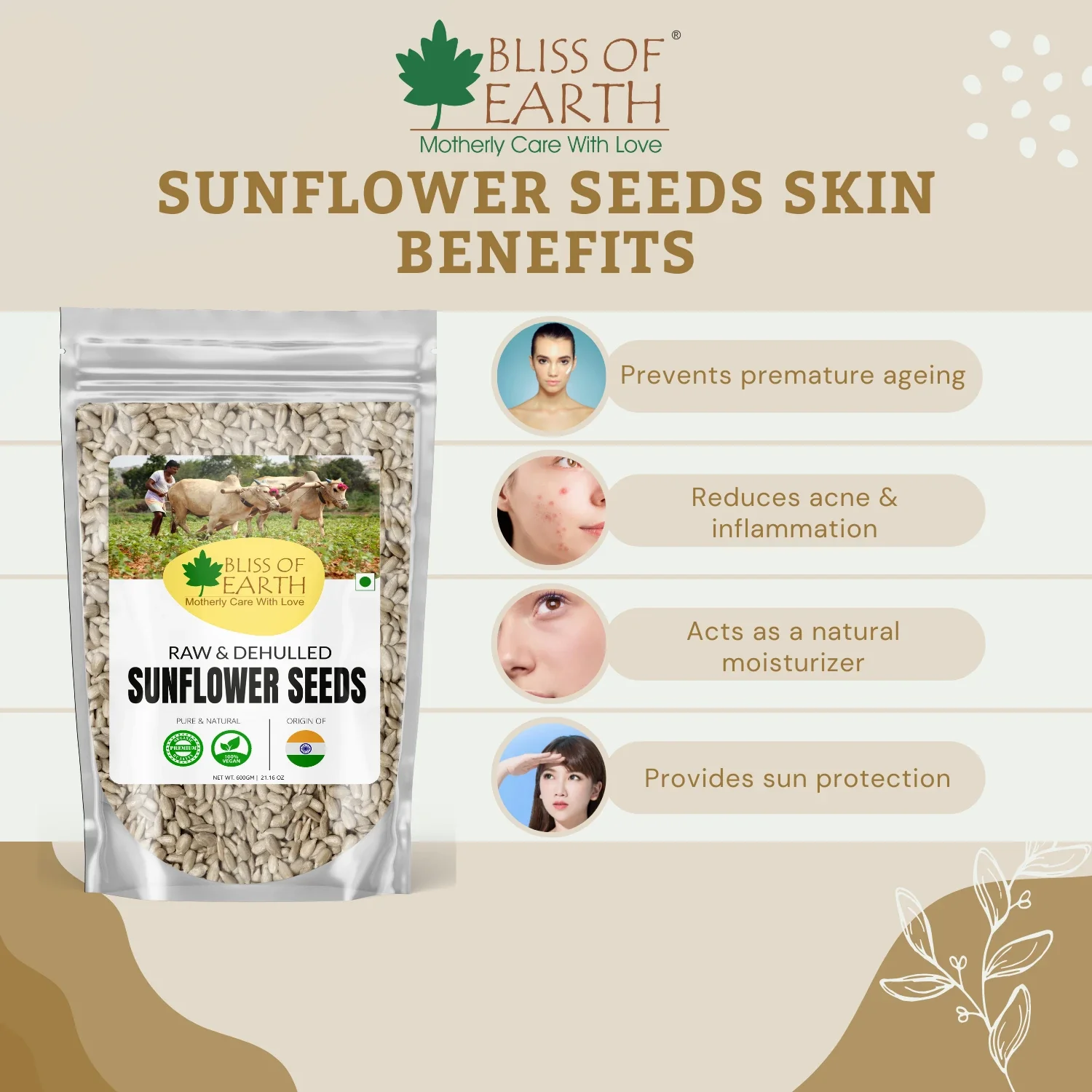 Natural Raw Sunflower Seeds - Image 3