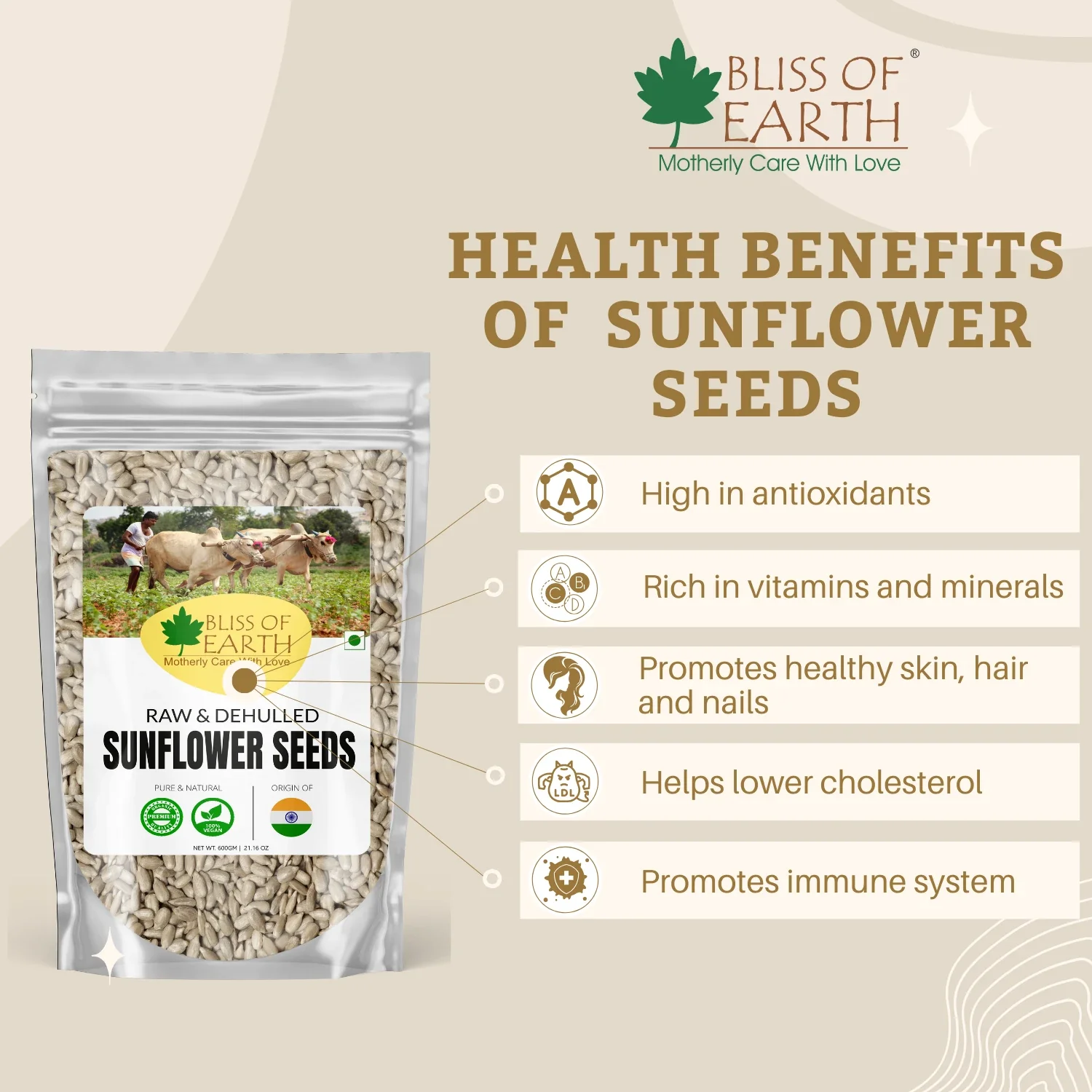Natural Raw Sunflower Seeds - Image 6