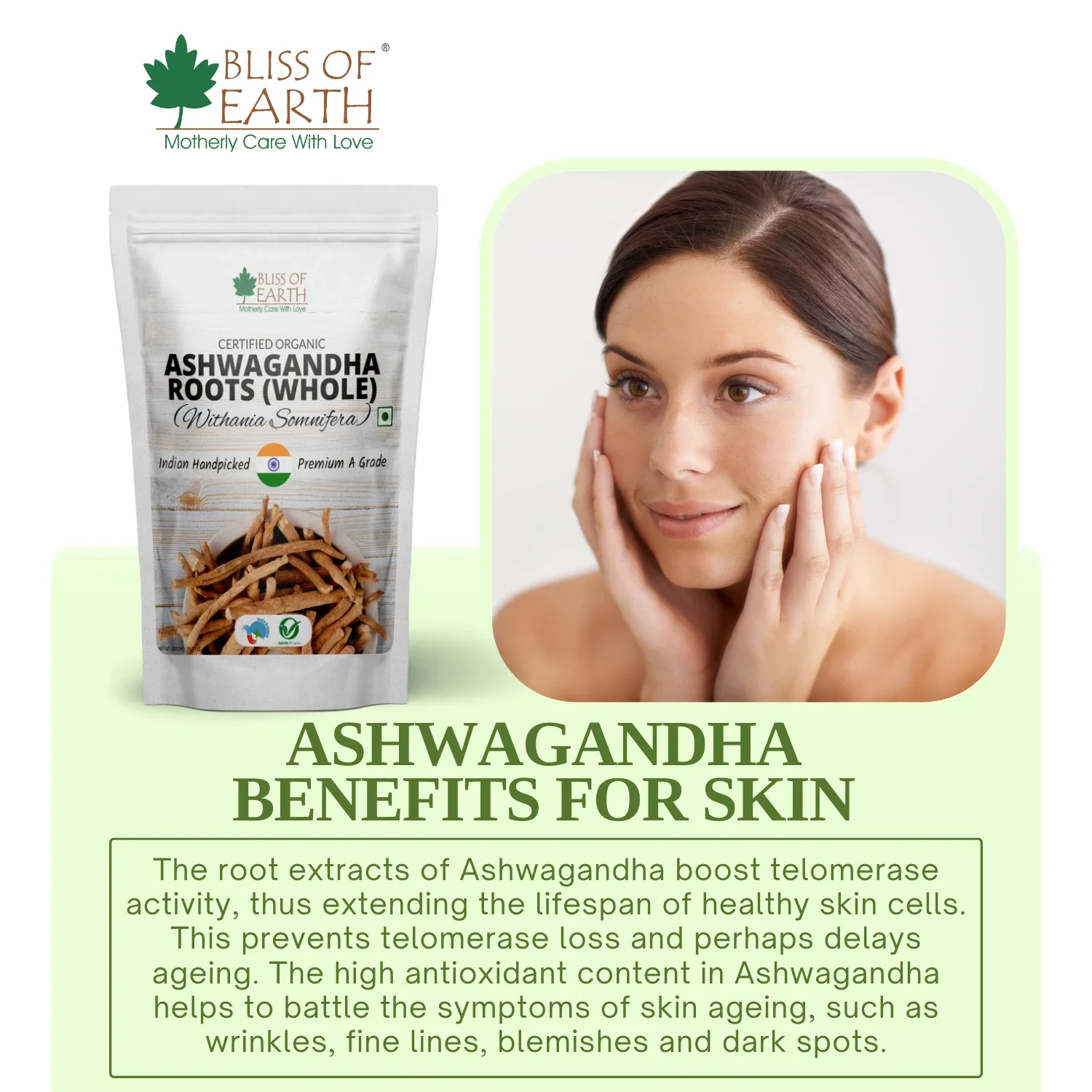 Organic Ashwagandha Roots Whole - Image 4