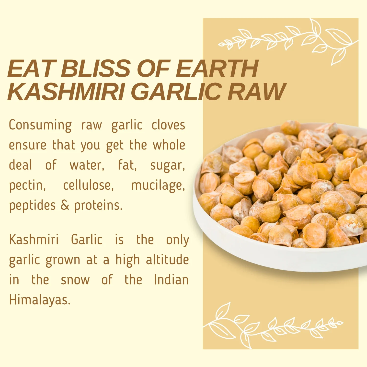 Organic Kashmiri Garlic - Image 5