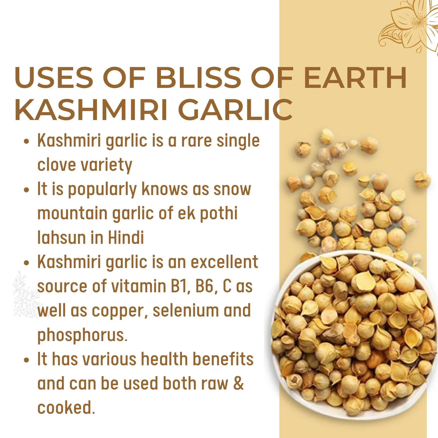 Organic Kashmiri Garlic - Image 8