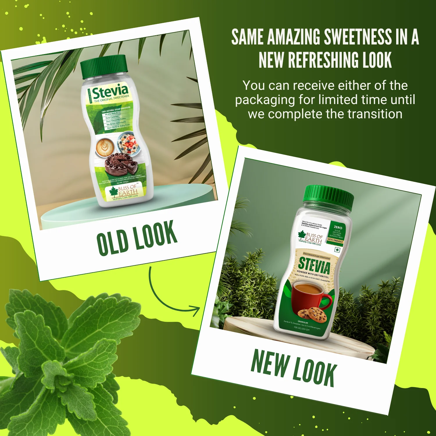 Sugar Free Stevia Powder For Diabetic 200gm - Image 4