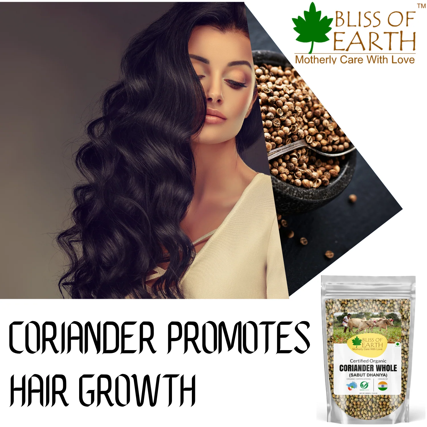 Coriander Whole 500gm - Image 4