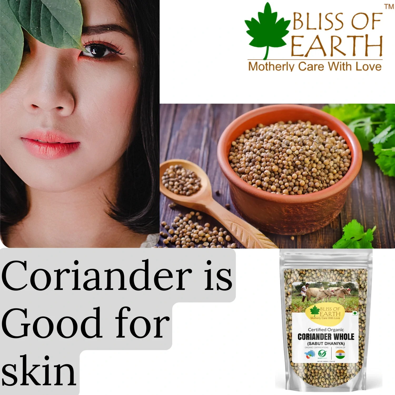 Coriander Whole - Image 3