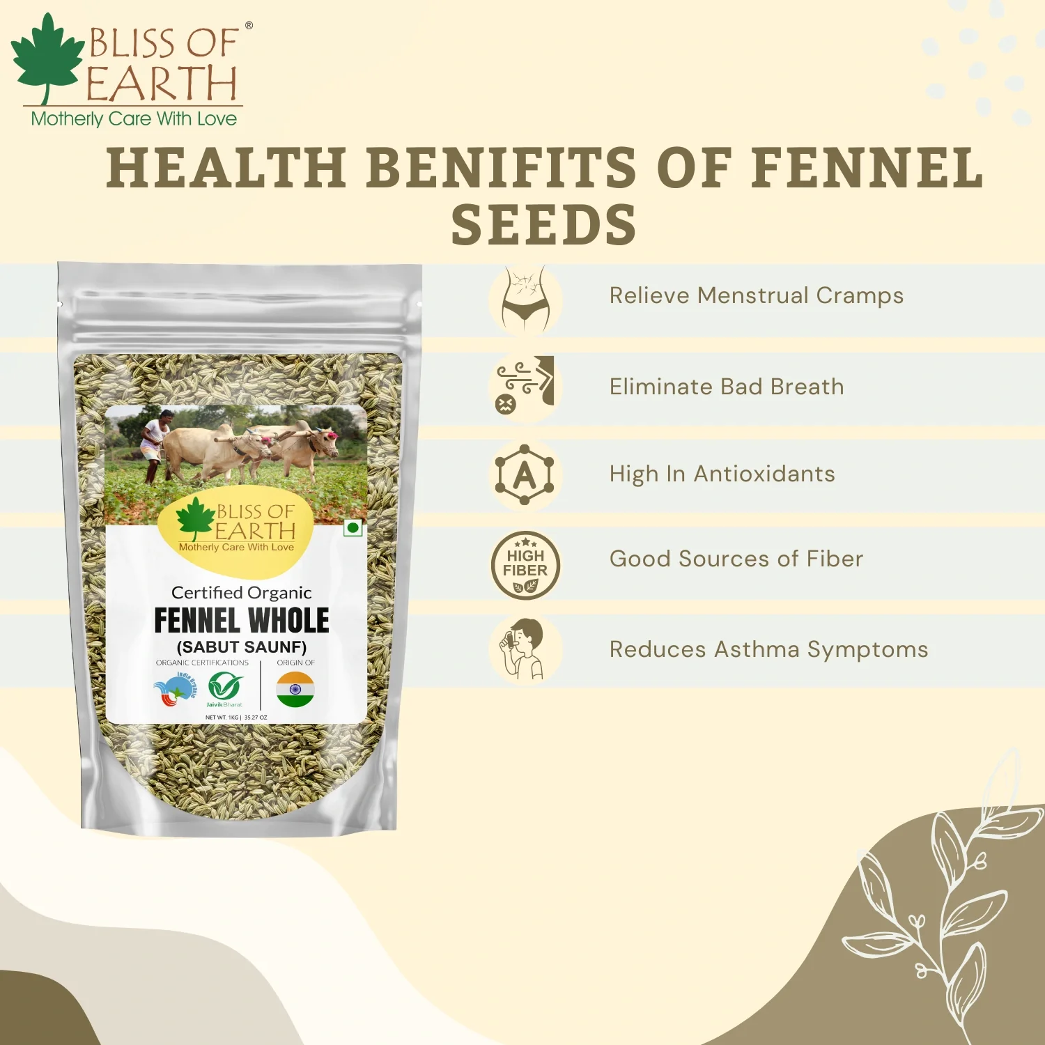 Fennel Whole Seed (Saunf) - Image 4