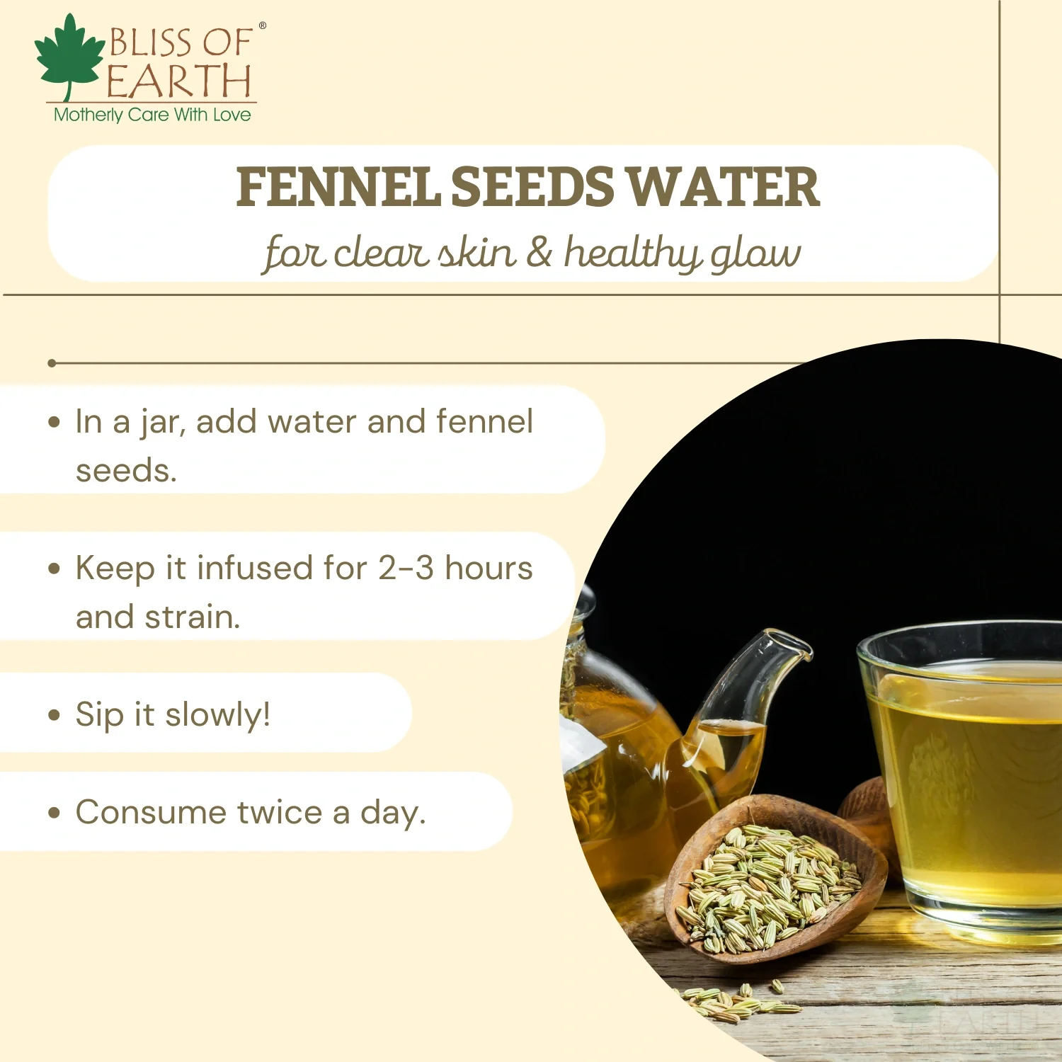 Fennel Whole Seed (Saunf) - Image 5