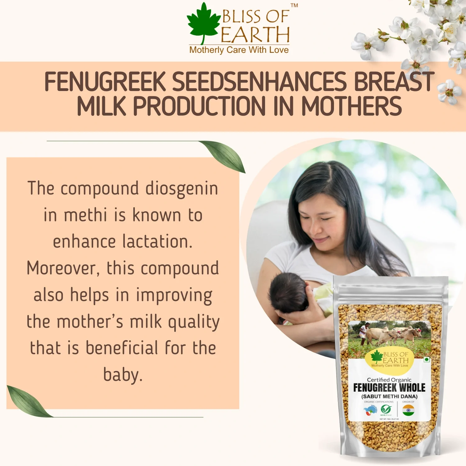 Fenugreek Whole Seed (Methi Dana) - Image 3