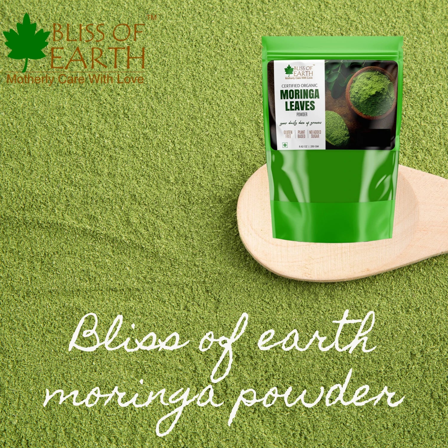 Organic Moringa Leaves Powder - Image 4