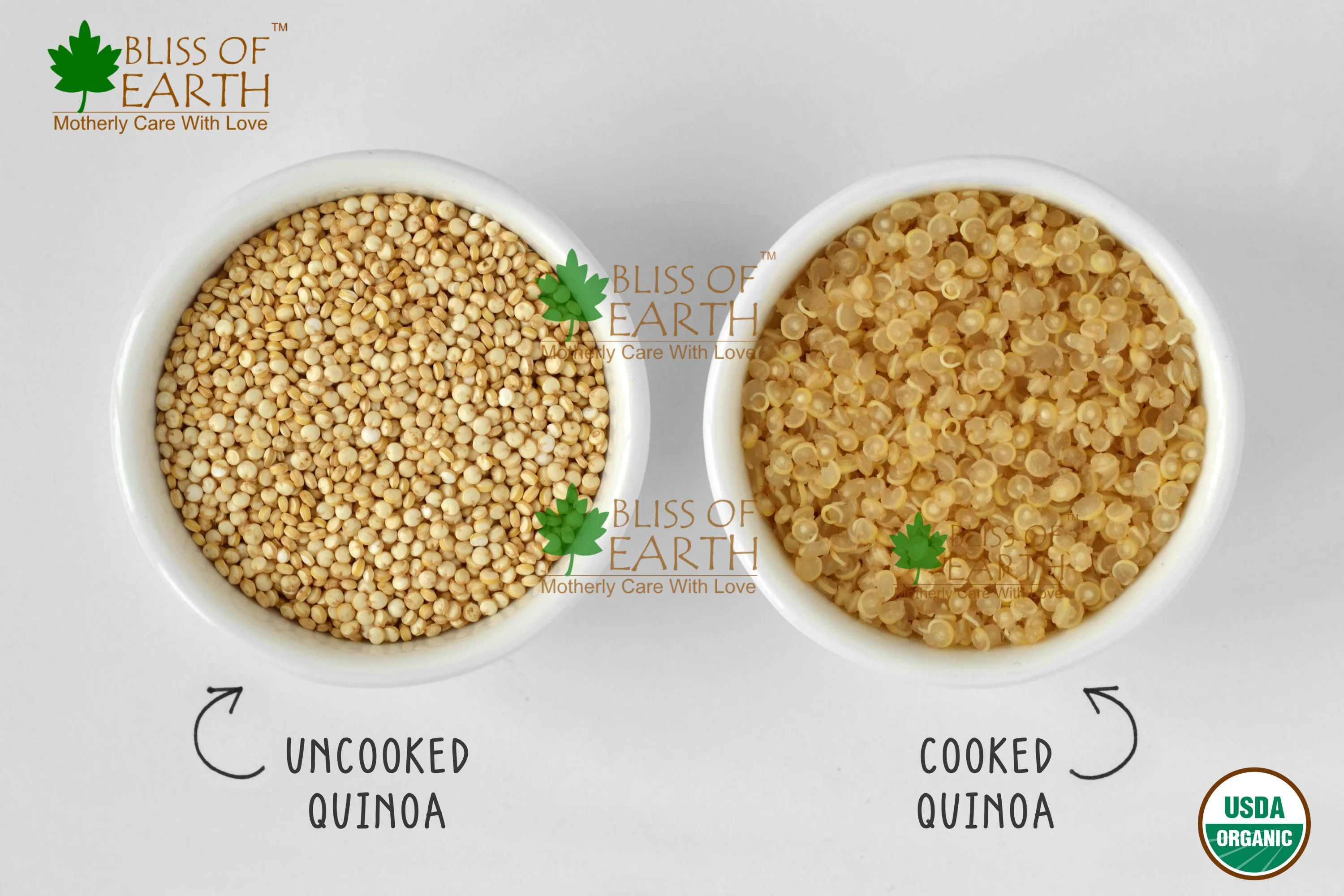 USDA Certified Organic Raw White Quinoa Seeds 200 gm - Image 4