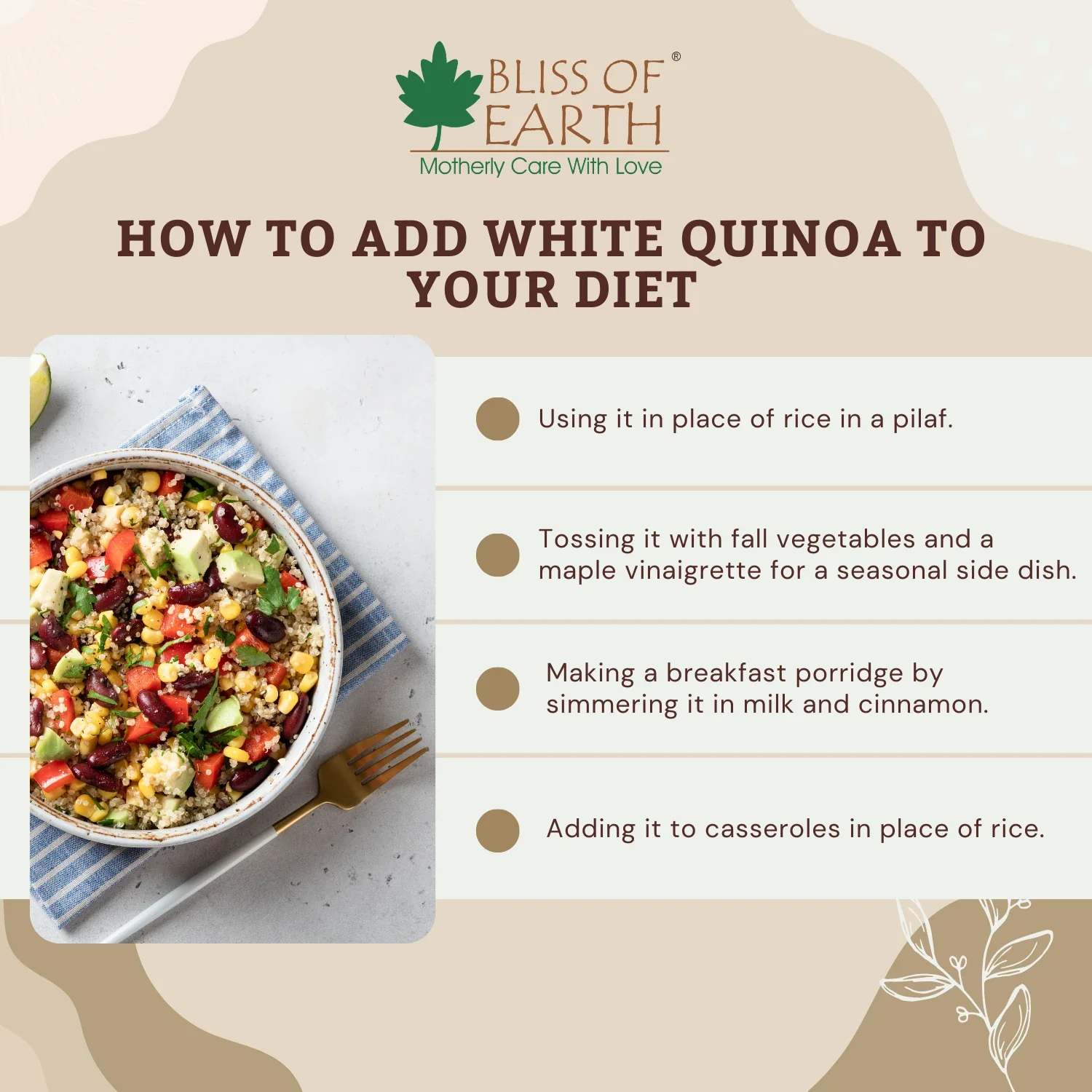 Organic Raw White Quinoa Seeds - Image 4