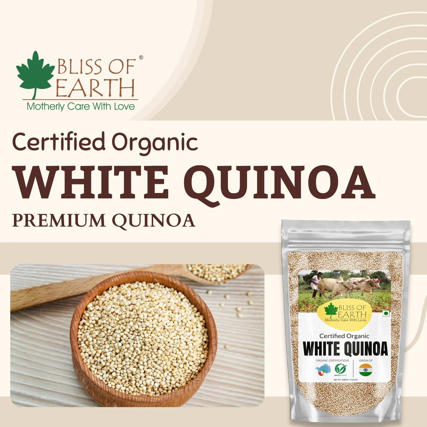 Organic Raw White Quinoa Seeds - Image 5