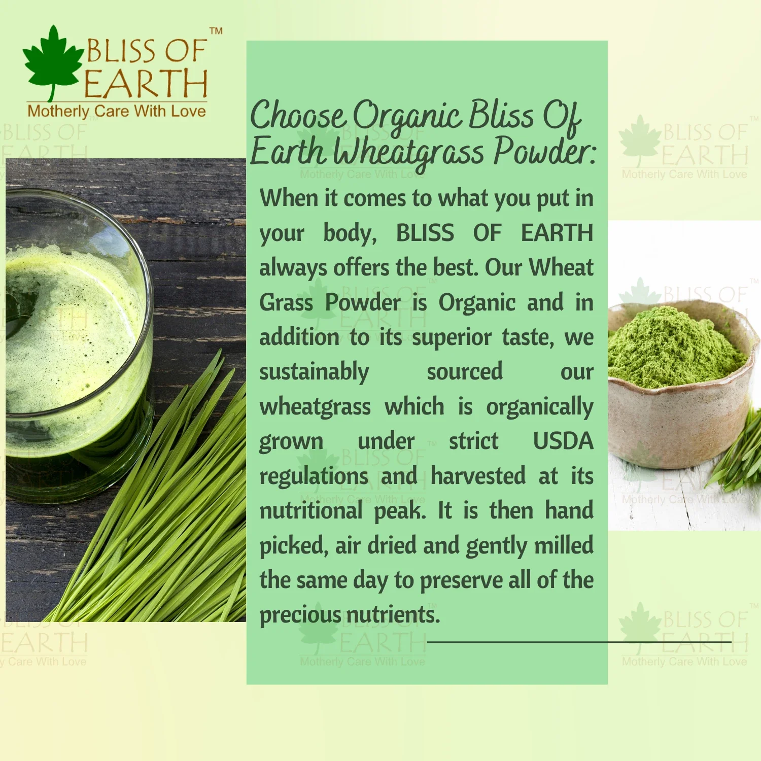 Organic Wheatgrass Powder - Image 3