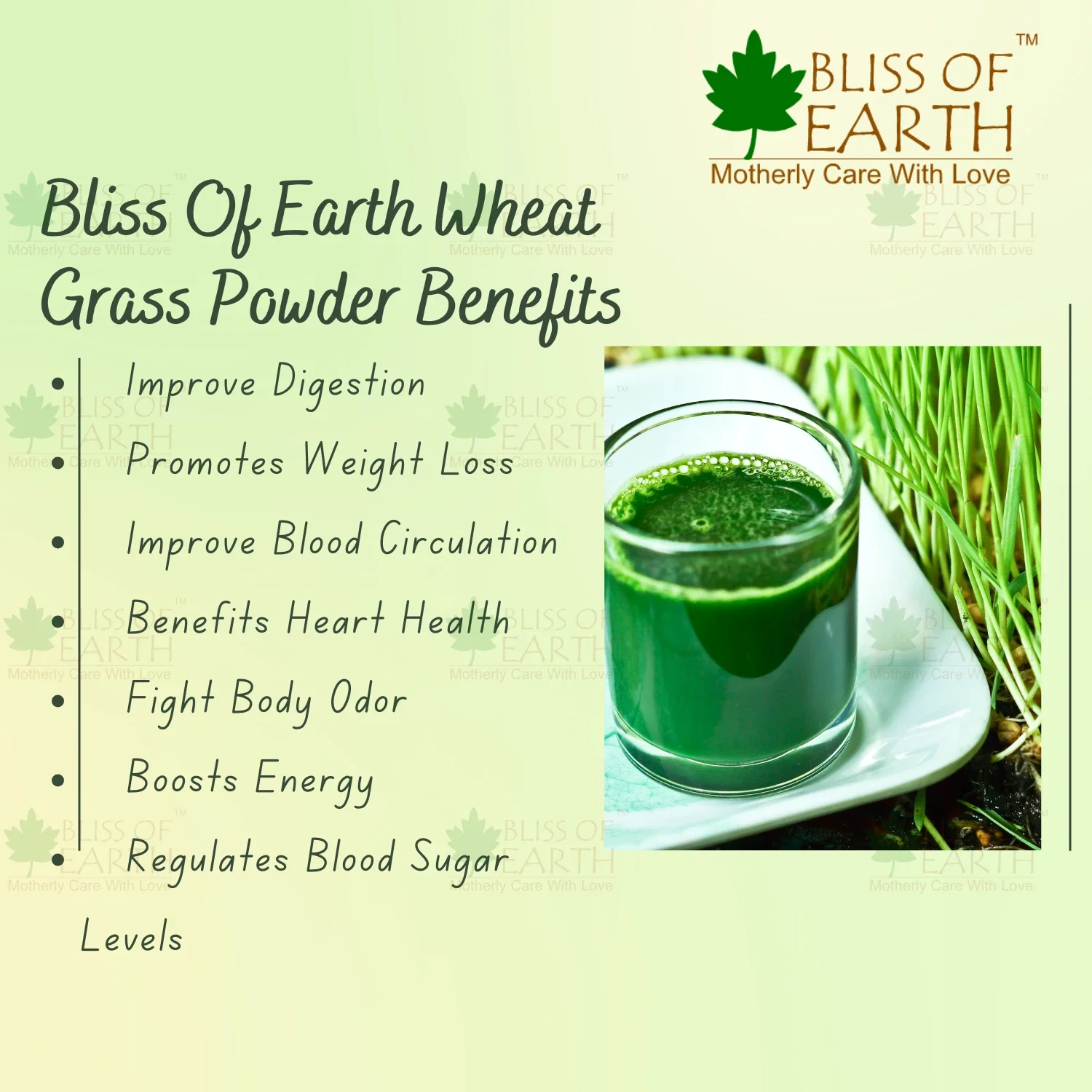 Organic Wheatgrass Powder - Image 4
