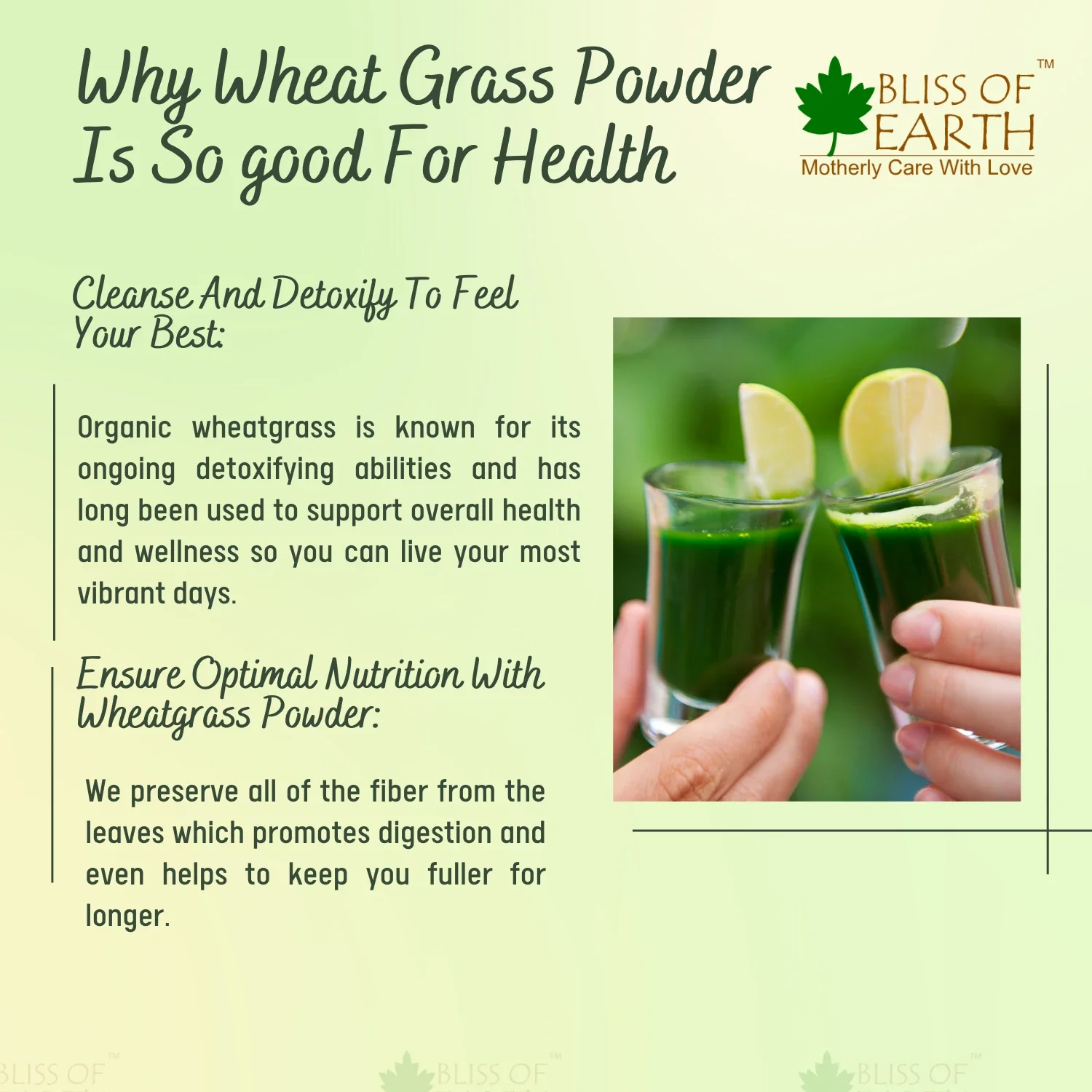 Organic Wheatgrass Powder - Image 5